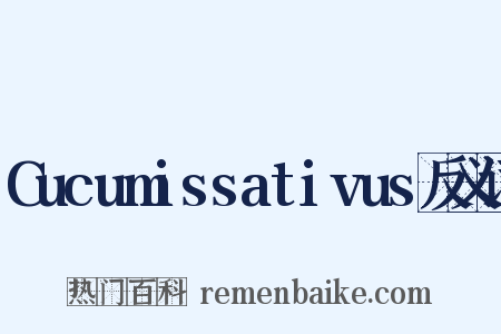 Cucumissativus反义词是什么意思的图片